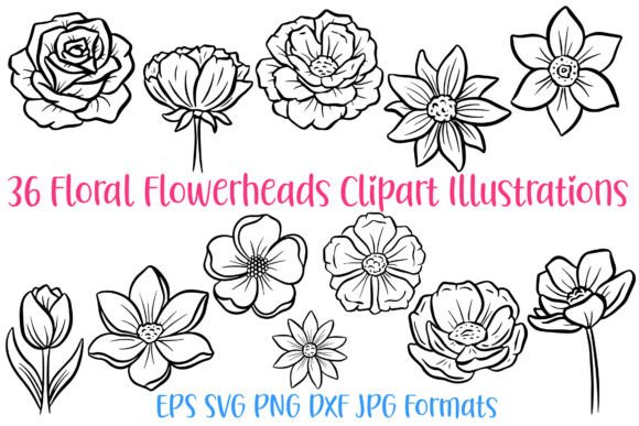 36 Floral Wildflower Flowerheads PNG SVG: Your Botanical Design Toolkit