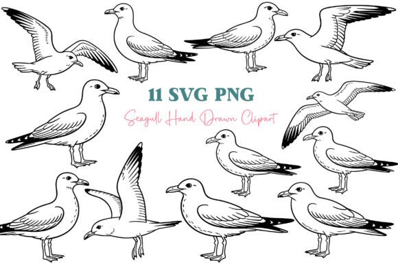 Seagull Clipart SVG & PNG Bundle for Coastal Design