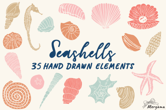 Summer Seashell Hand Drawn Sea Shell PNG: A Designer's Coastal Collection